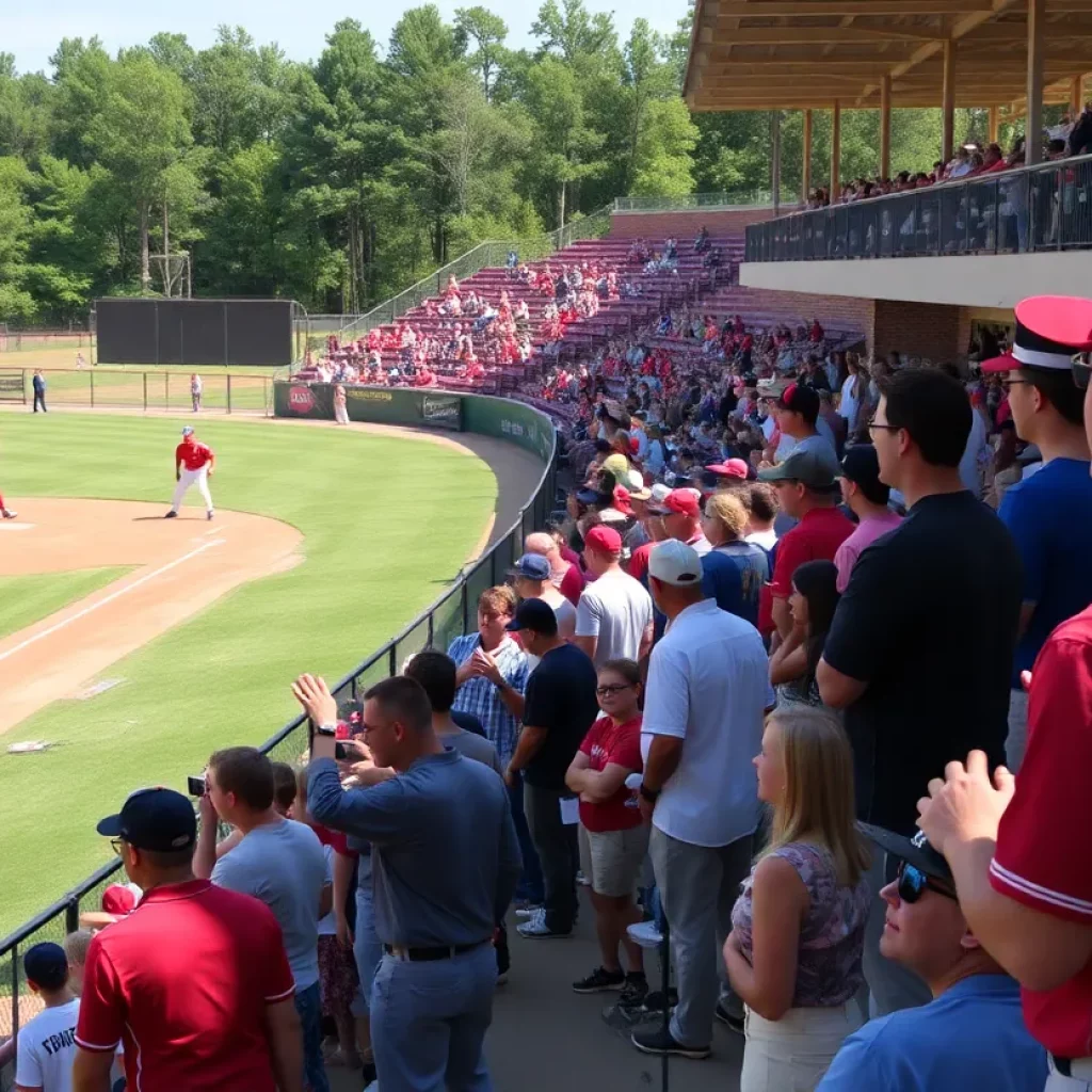 High school baseball players competing during playoffs